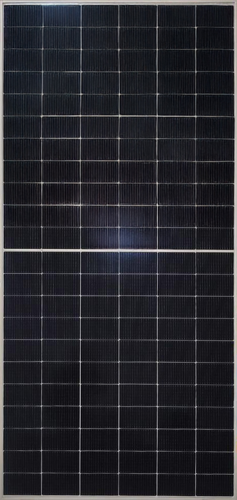 Renew Bifacial Solar Panel